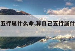 算自己五行属什么命,算自己五行属什么命公式