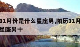 阳历11月份是什么星座男,阳历11月份是什么星座男十