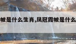 凤冠霞帔是什么生肖,凤冠霞帔是什么生肖动物