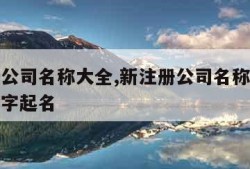 新注册公司名称大全,新注册公司名称大全免费四个字起名