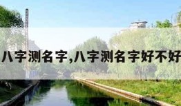 八字测名字,八字测名字好不好