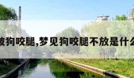 梦见被狗咬腿,梦见狗咬腿不放是什么意思