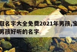 宝宝取名字大全免费2021年男孩,宝宝取名字男孩好听的名字