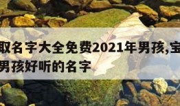 宝宝取名字大全免费2021年男孩,宝宝取名字男孩好听的名字