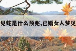 女人梦见蛇是什么预兆,已婚女人梦见蛇是什么预兆