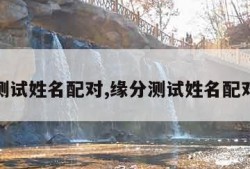 缘分测试姓名配对,缘分测试姓名配对打分
