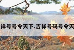 吉祥号号令天下,吉祥号码号令天下